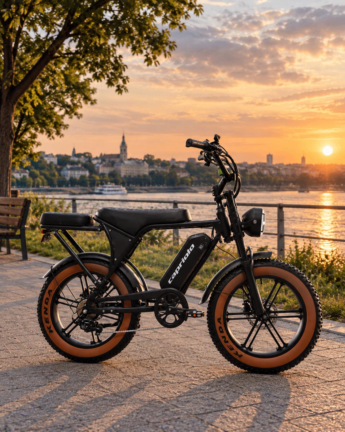 E-Retro električni bicikl